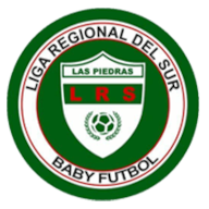  Liga Regional del Sur